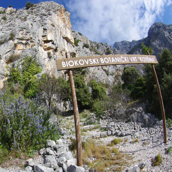 botanički vrt kotišina